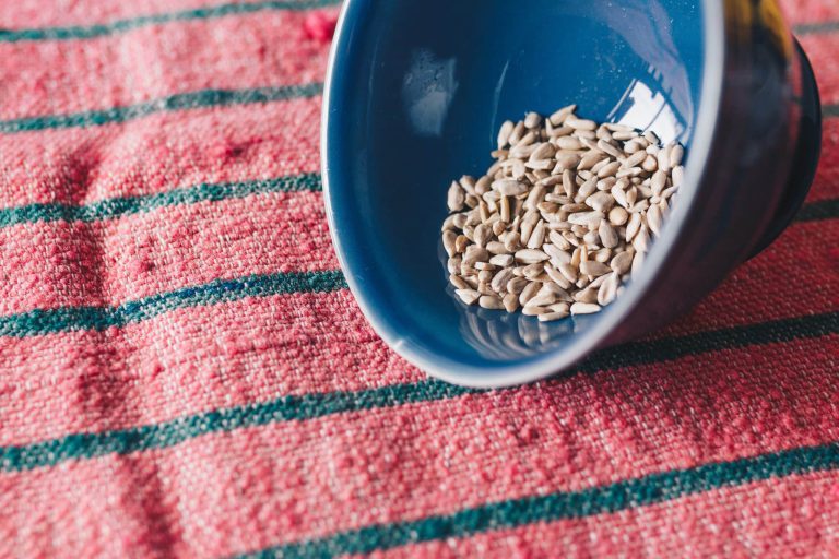 Sunflower Milk: An Unknown Superfood